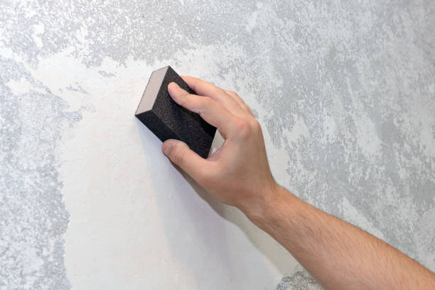 Best Attic Mold Removal  in Shoreacres, TX