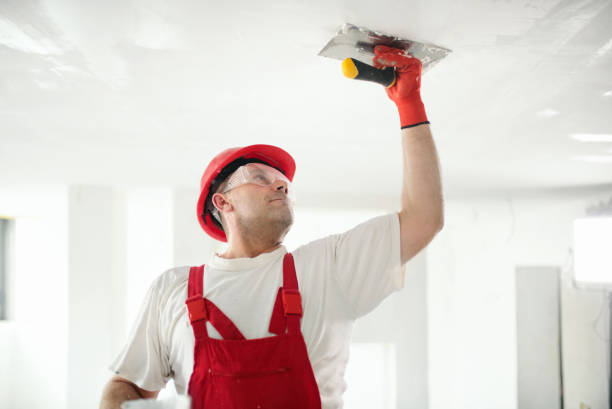 Best Forensic Mold Investigation  in Shoreacres, TX