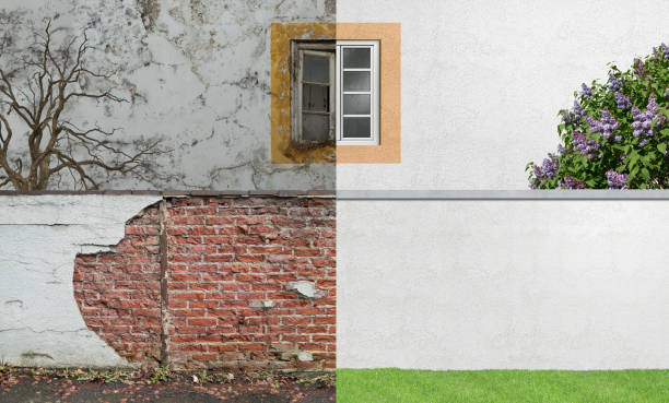 Reliable Shoreacres, TX Mold Removal Solutions