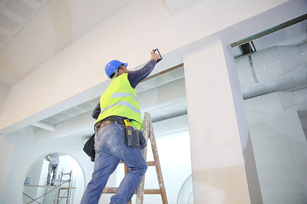 Best Mold Damage Restoration  in Shoreacres, TX
