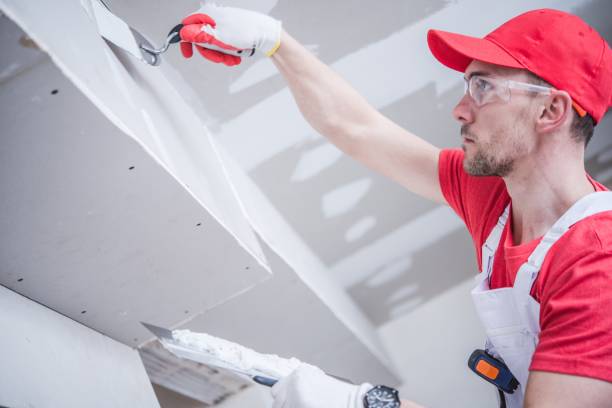Best Mold Damage Restoration  in Shoreacres, TX